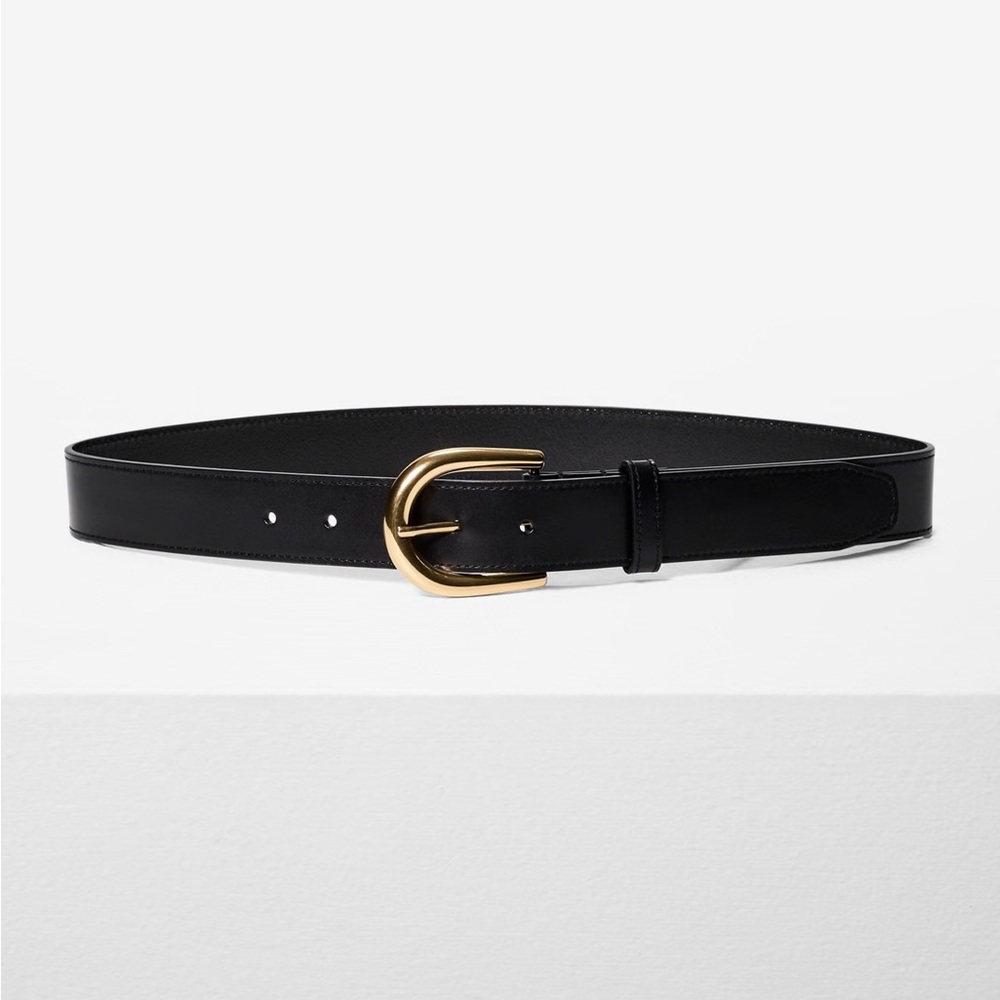 Aritzia black and solid brass belt